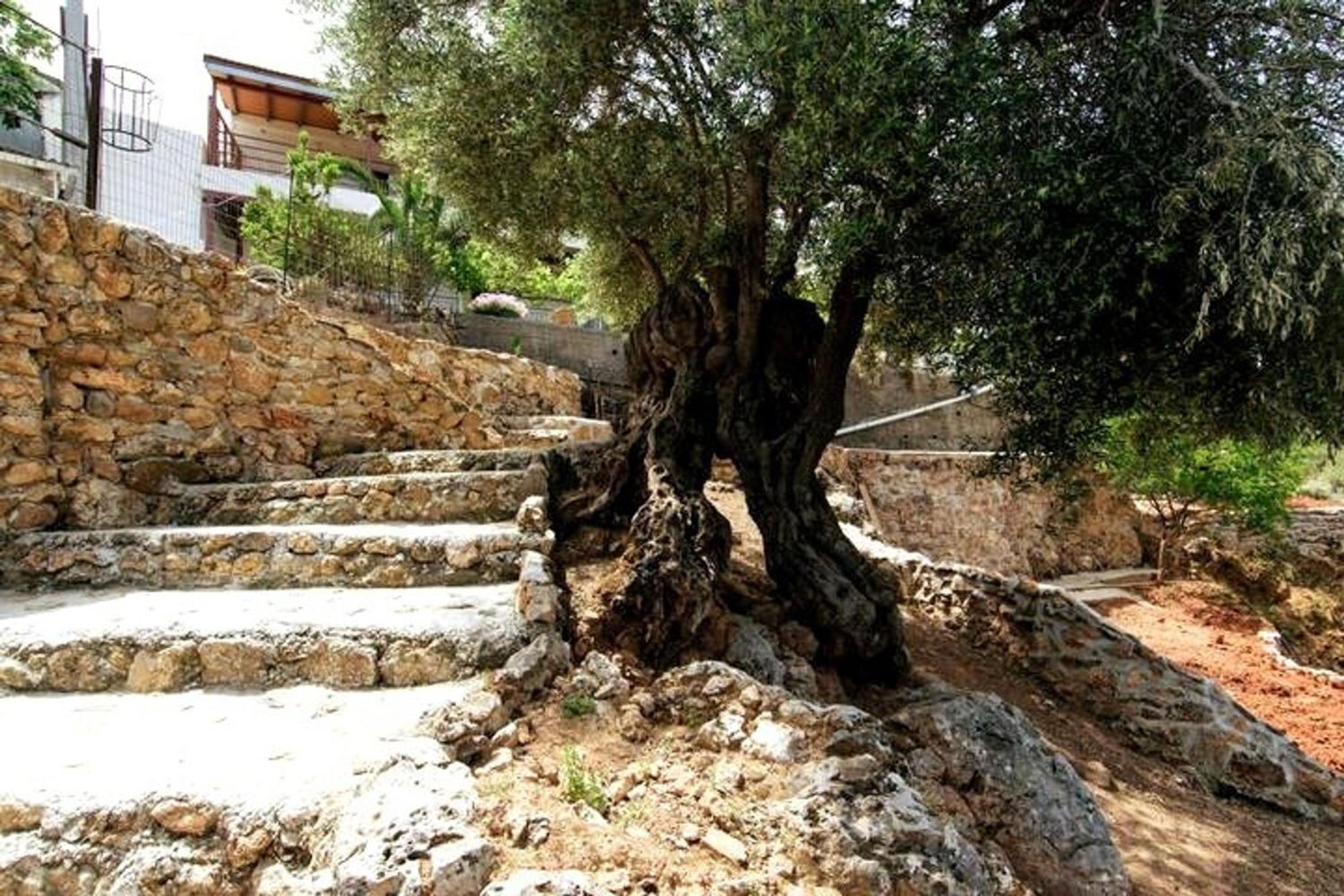 Aoria Traditional House With Stuning Mountain View Loulos Exterior foto